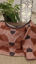 salmon pink
