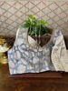 Silk Brocade in baby blue and silver